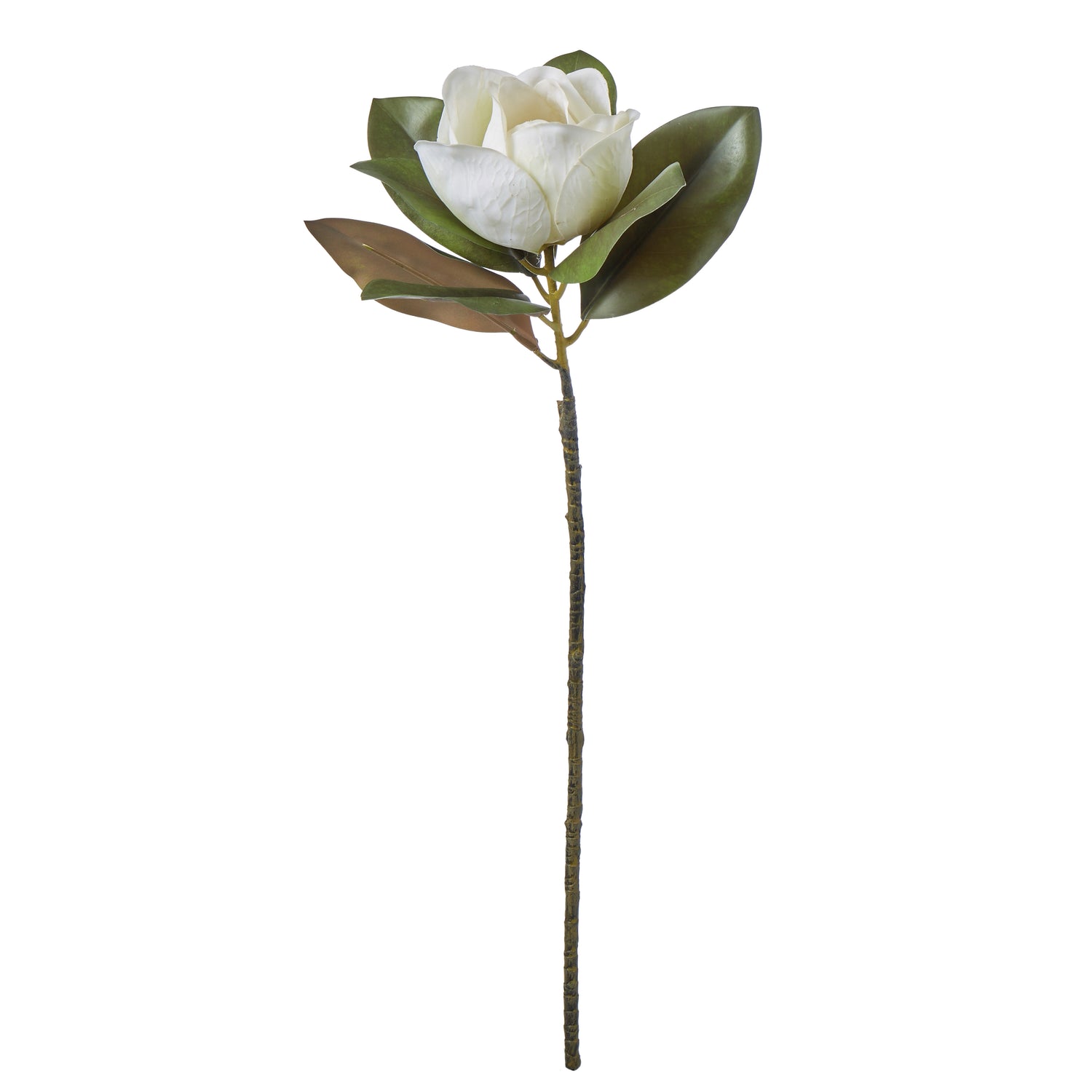 Faux Magnolia Grandiflora | White - 71cm