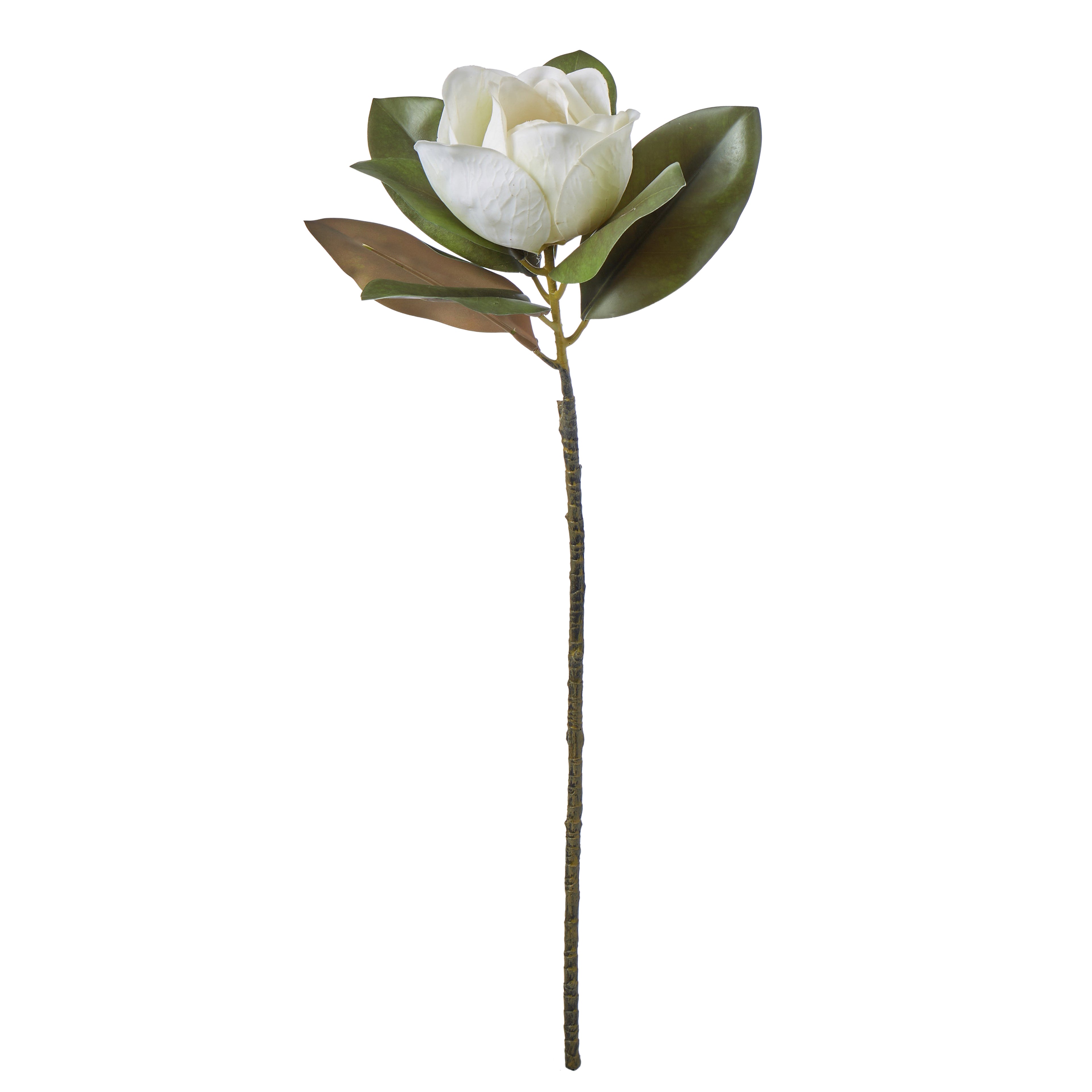Faux Magnolia Grandiflora | White - 71cm