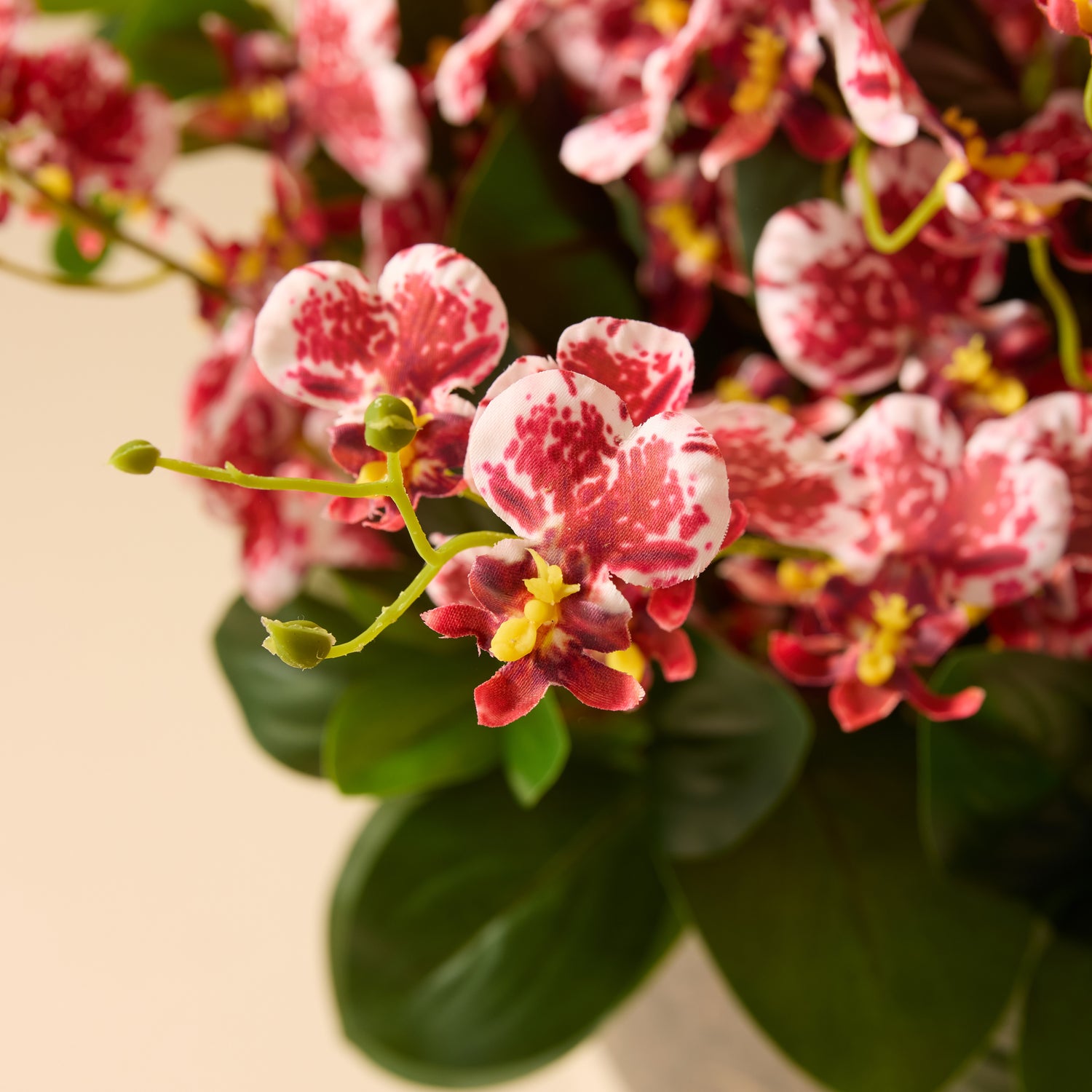 Faux Dancing Orchids - Madelyn Bowl | Burgundy - 58cm