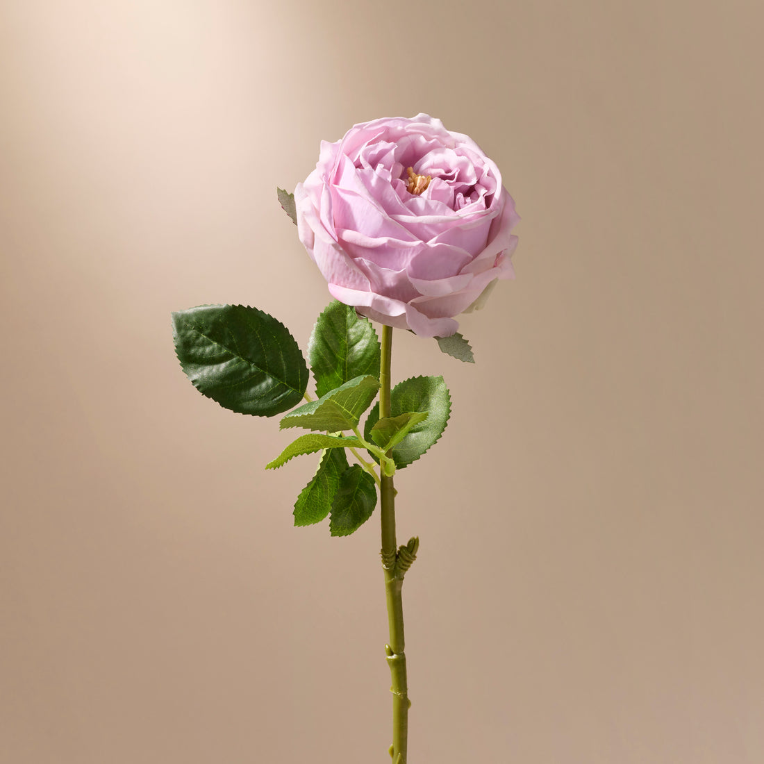 Faux Austin Rose Stem | Purple - 45cm