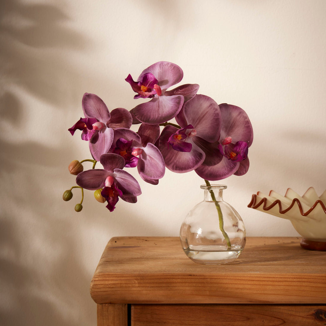 Rogue Phalaenopsis - Glass Vase Purple