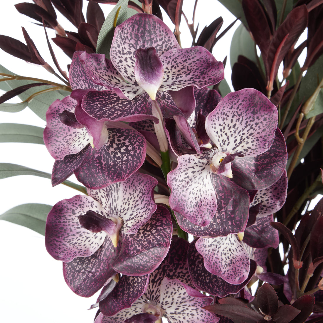 Faux Vanda Orchid Astilbe Spray Arrangement - Alana Vase