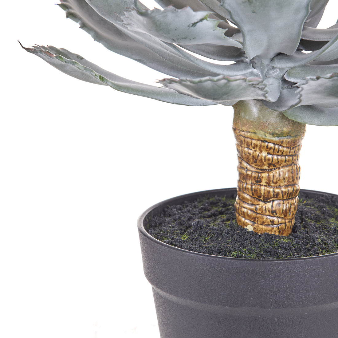 Faux Flowering Echeveria - Garden Pot | 62cm