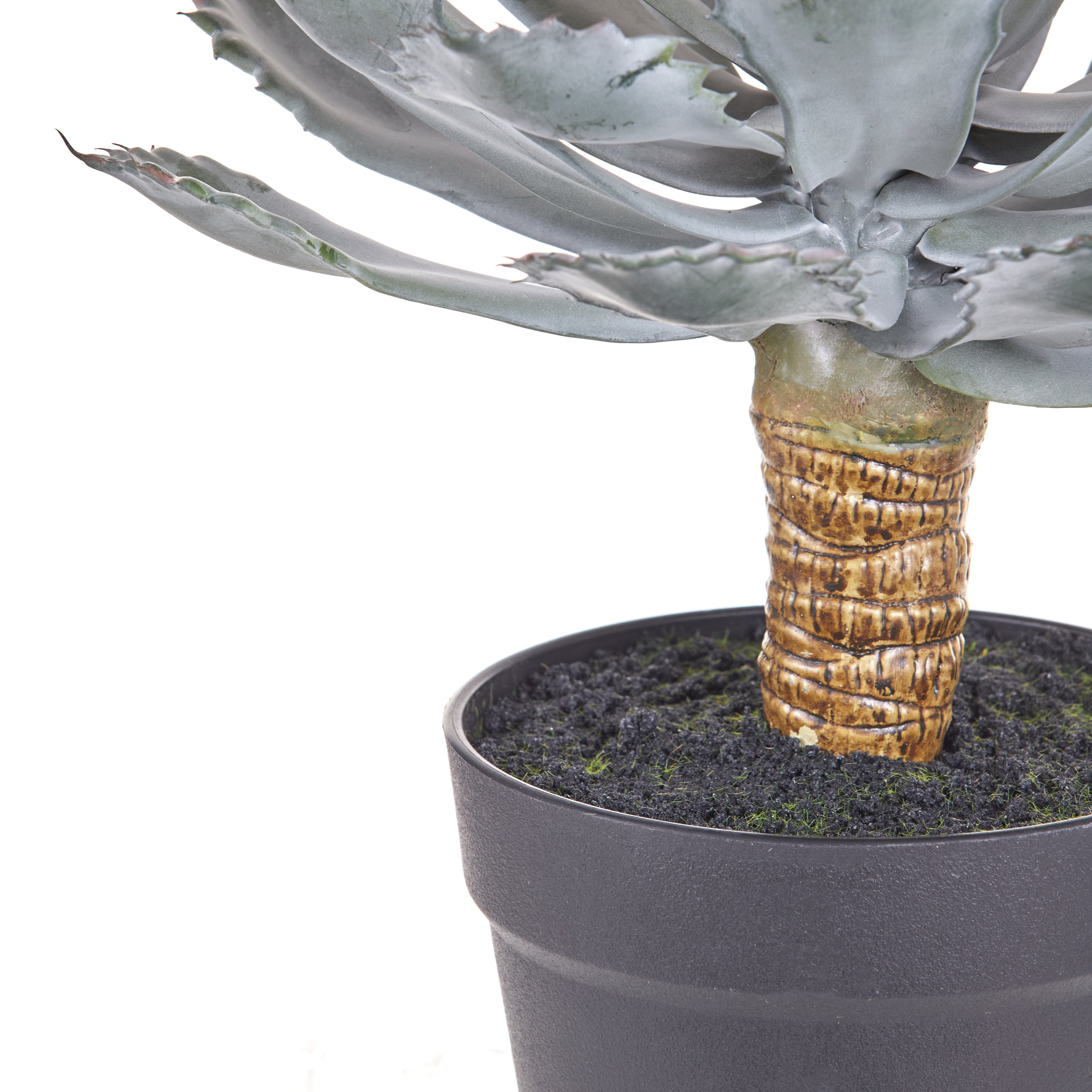 Faux Flowering Echeveria - Garden Pot | 62cm