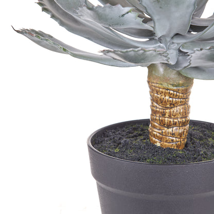 Faux Flowering Echeveria - Garden Pot | 62cm