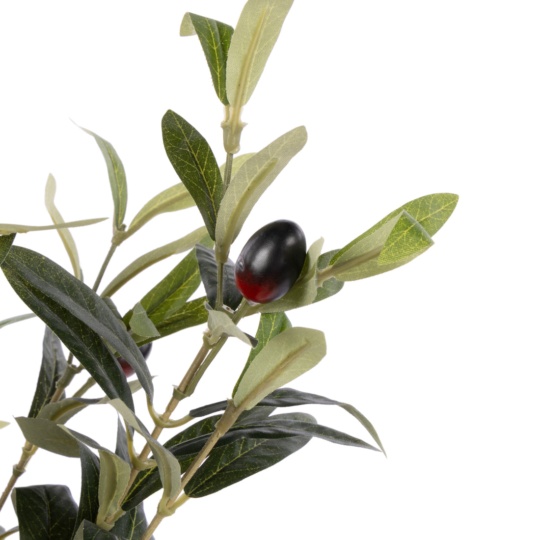 Faux Olive - Dansk Ribbed Vase | Natural - 80cm