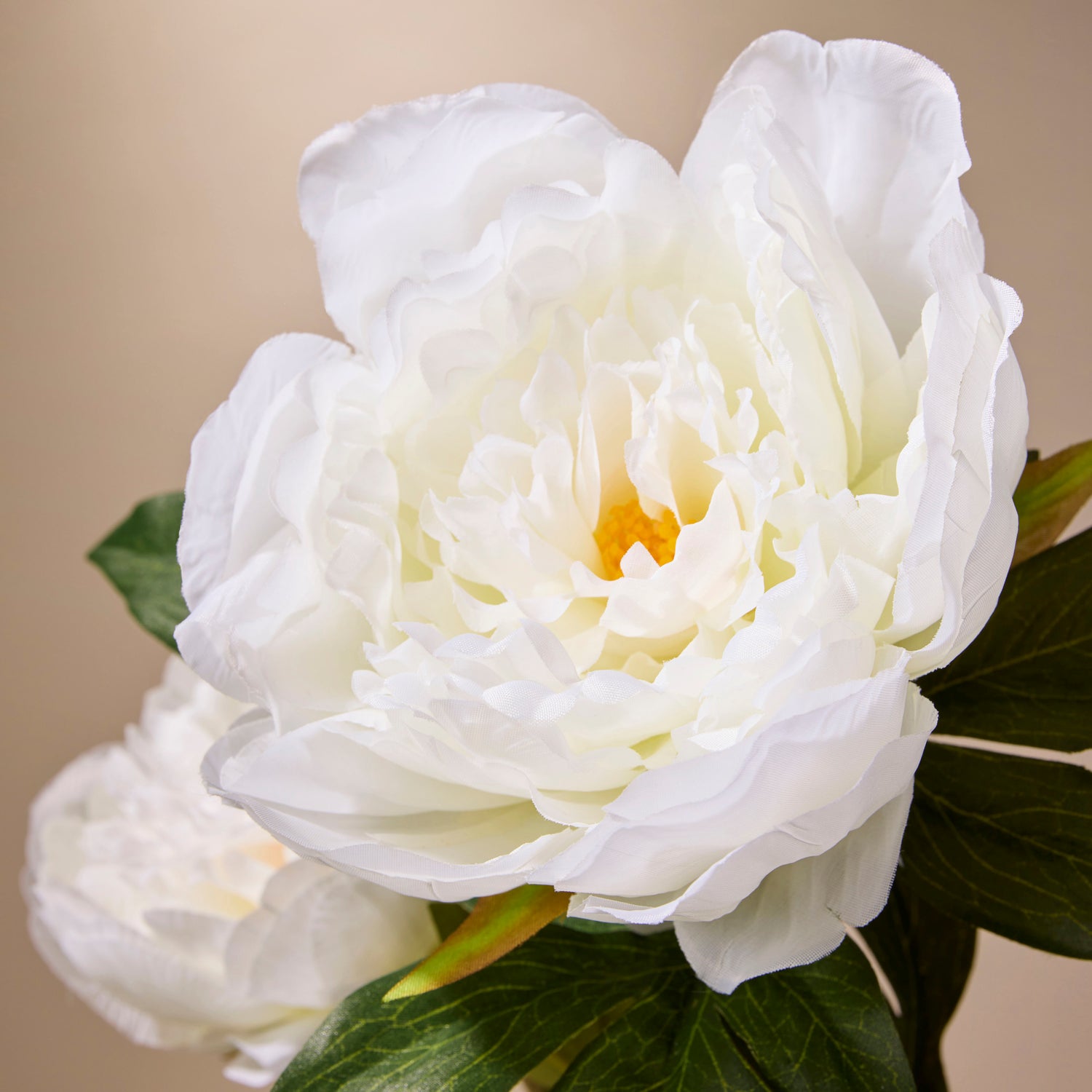 Faux Peony Stem | White - 71cm