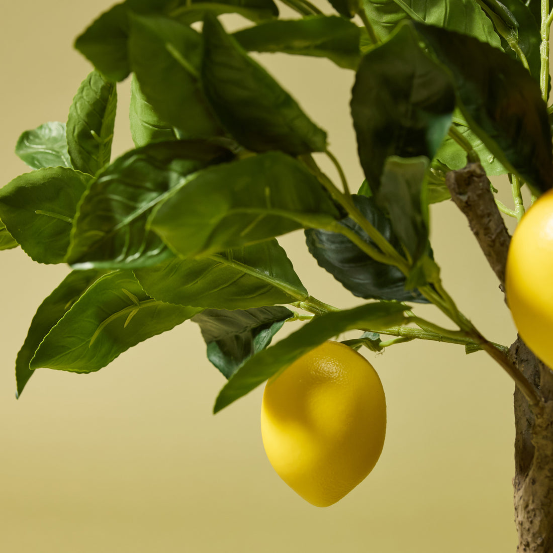 Faux Lemon Tree | 60cm