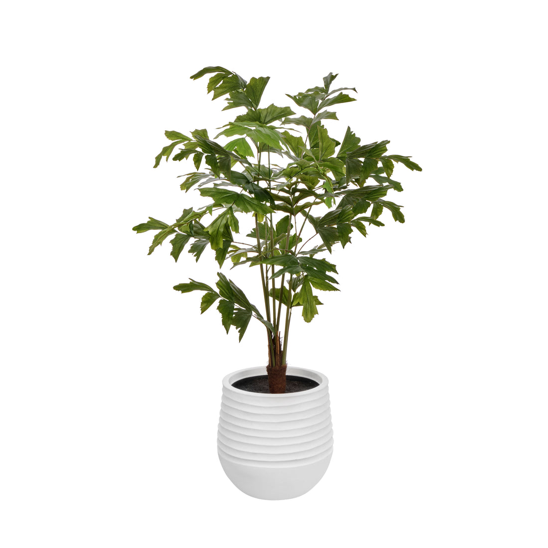 Faux Caryota Palm Tree - Vienna PLanter | Green  - 158cm