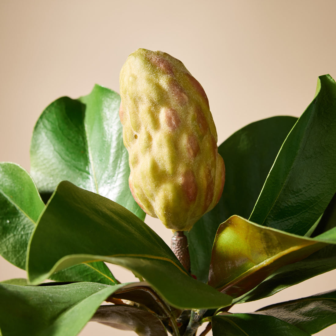 Faux Magnolia Bud Stem | 53cm