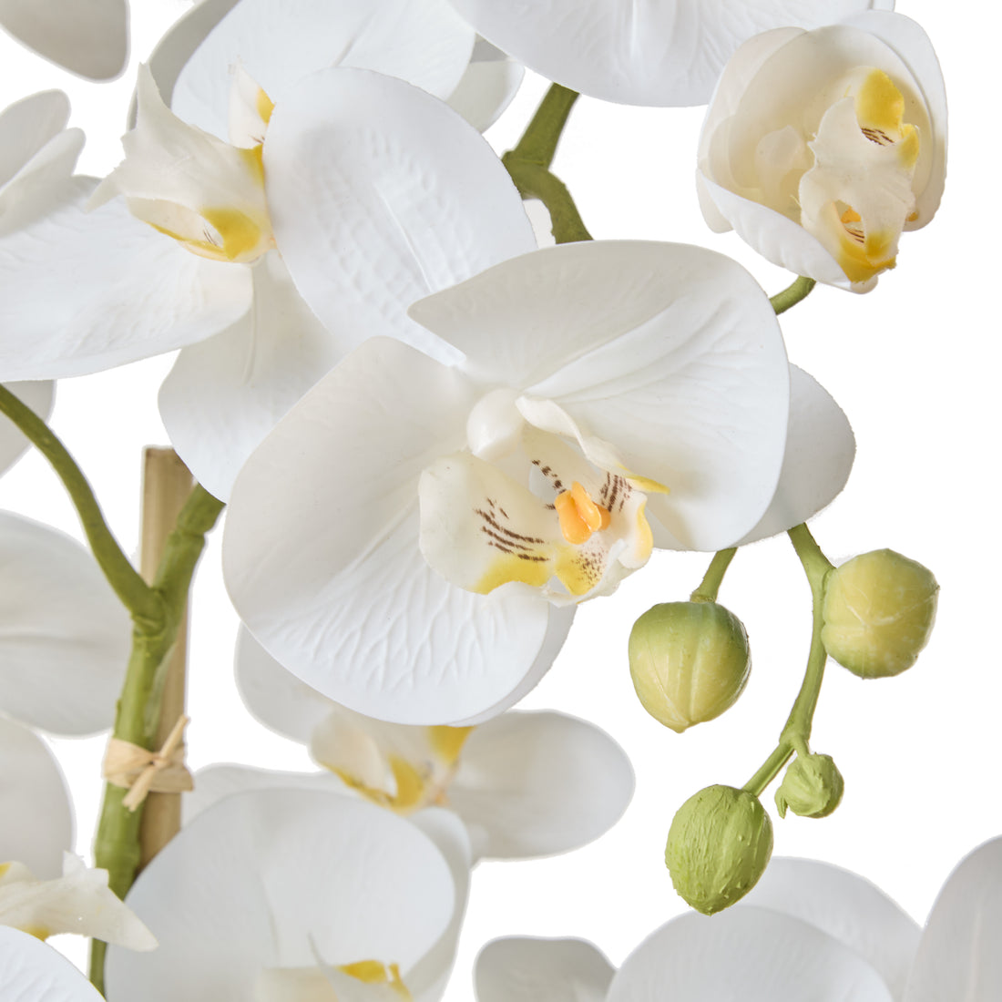 Faux Phalaenopsis Orchid - Black Pot | White - 85cm