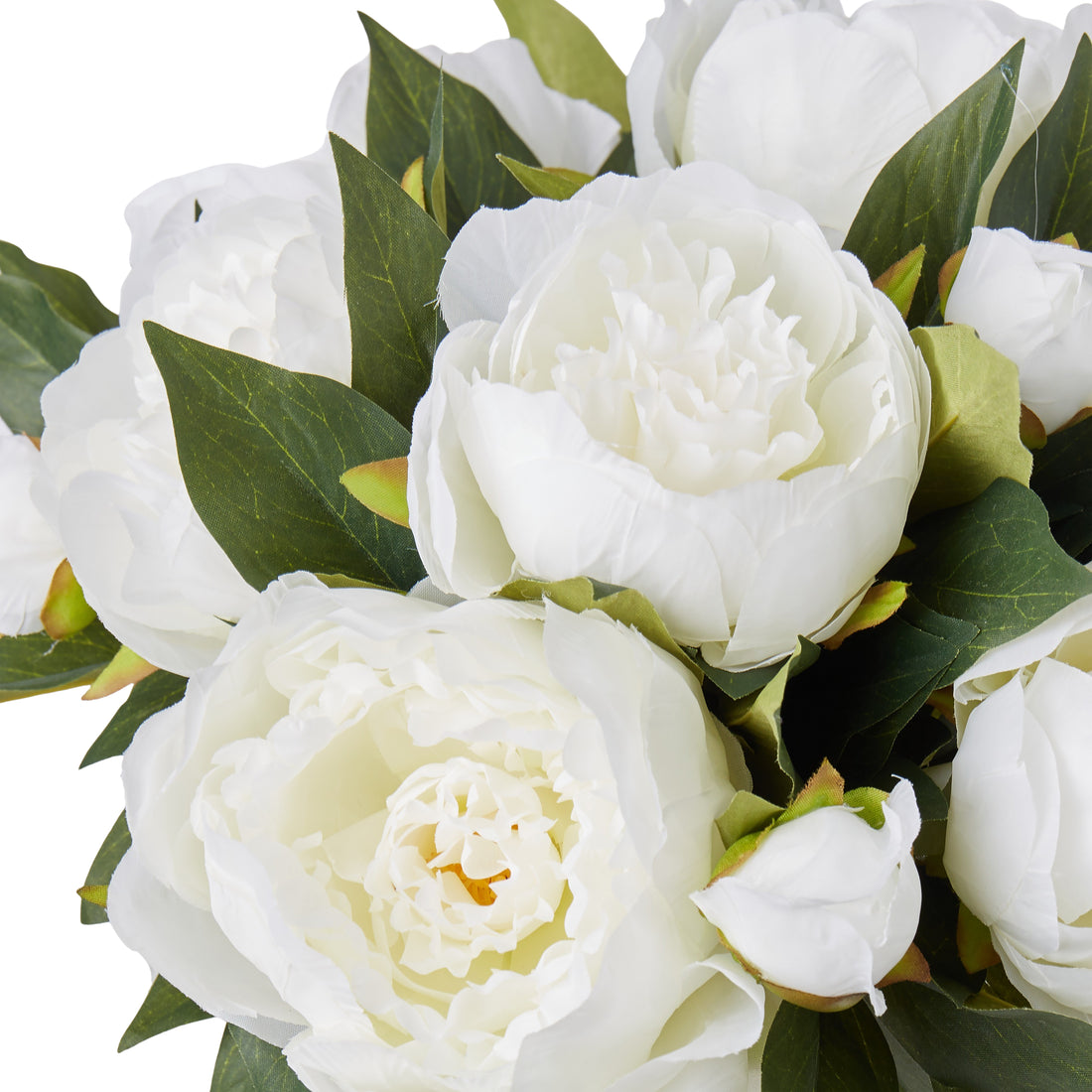 Rogue Peony - Classic Bowl White