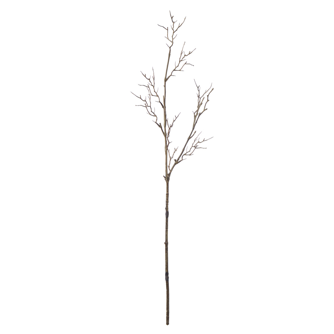 Rogue Twig Branch Brown