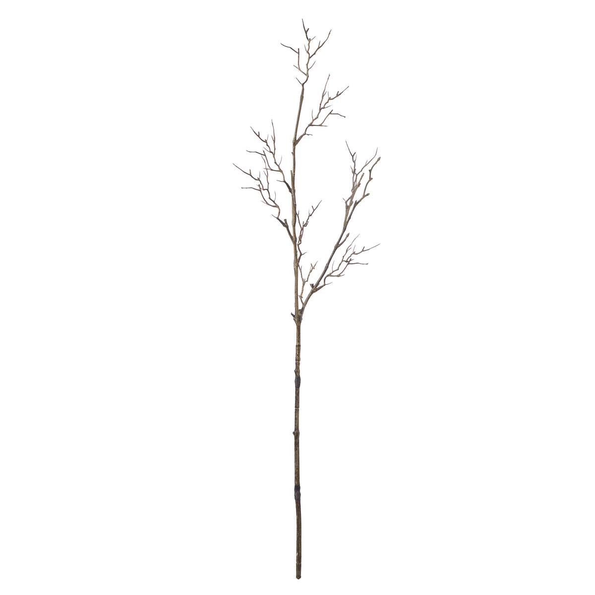 Rogue Twig Branch Brown