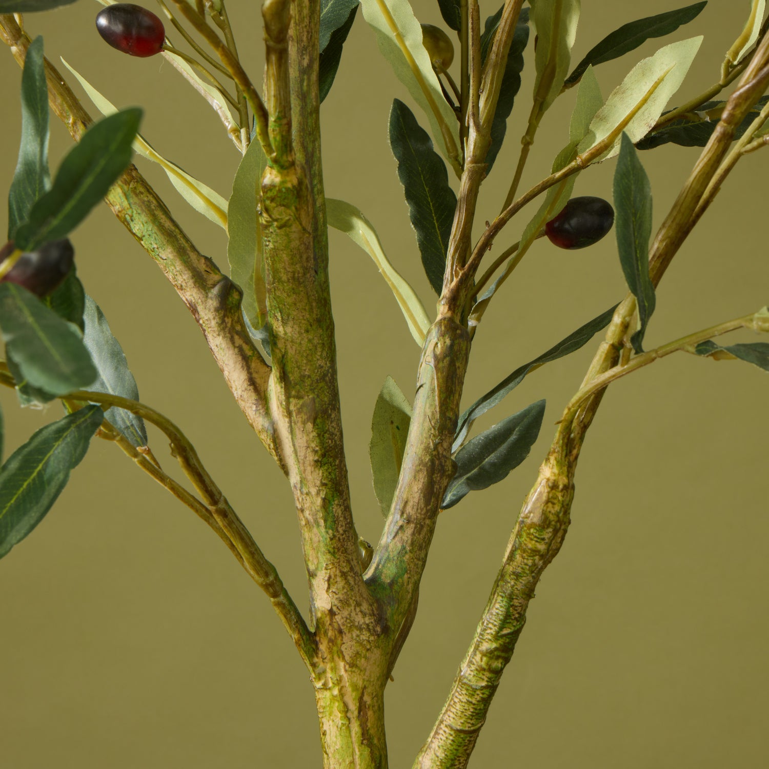 Faux Olive Tree - Inga Vase | Green - 166cm