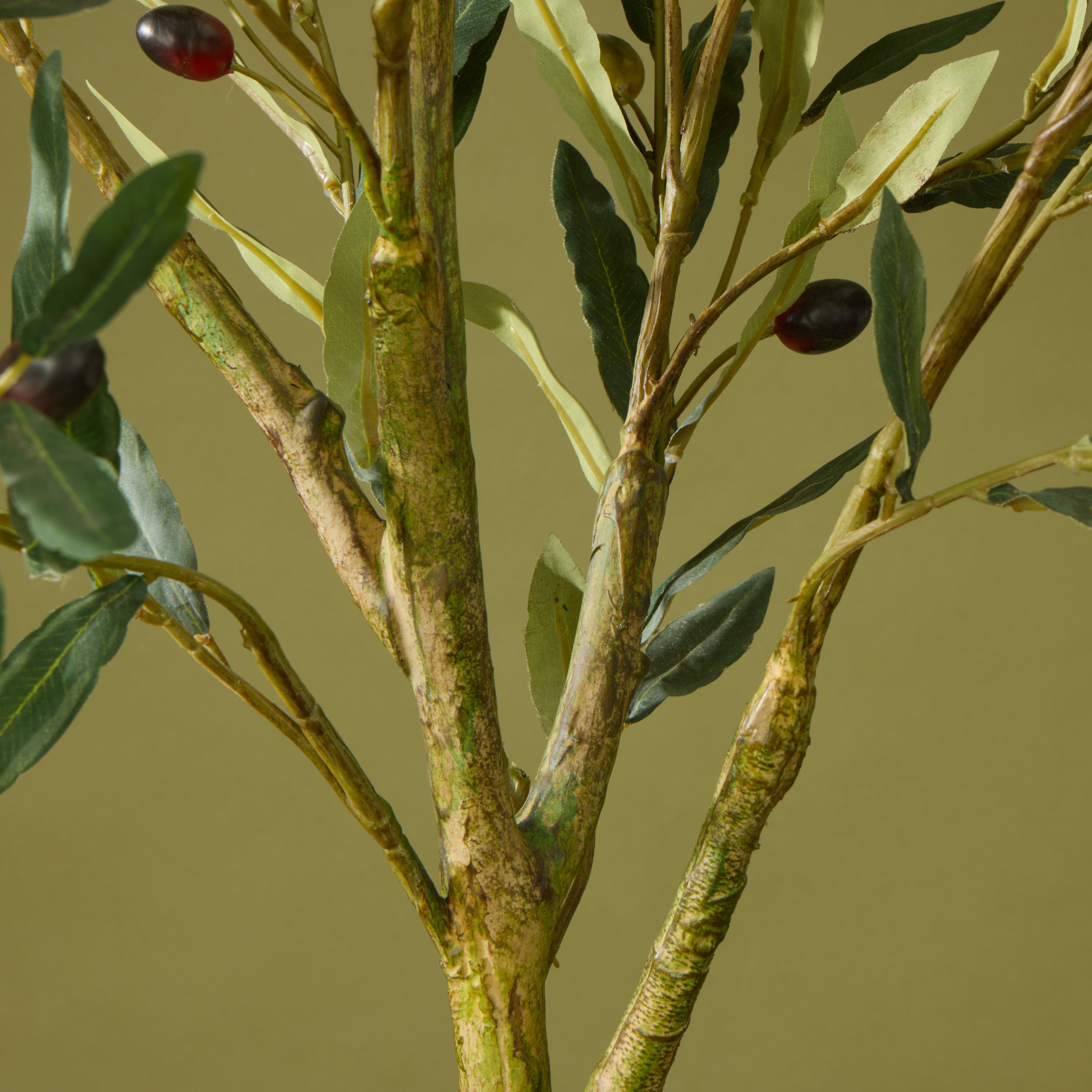 Faux Olive Tree - Inga Vase | Green - 166cm