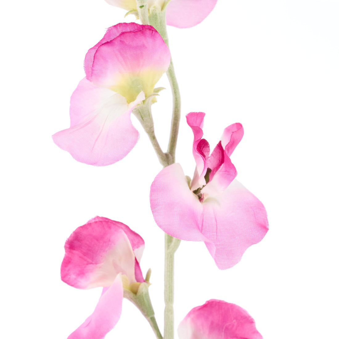 Faux Sweet Pea Spray | Pink - 64cm