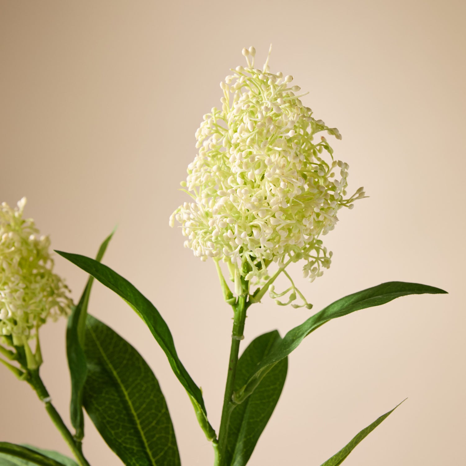 Faux Skimmia Spray| Cream - 60cm