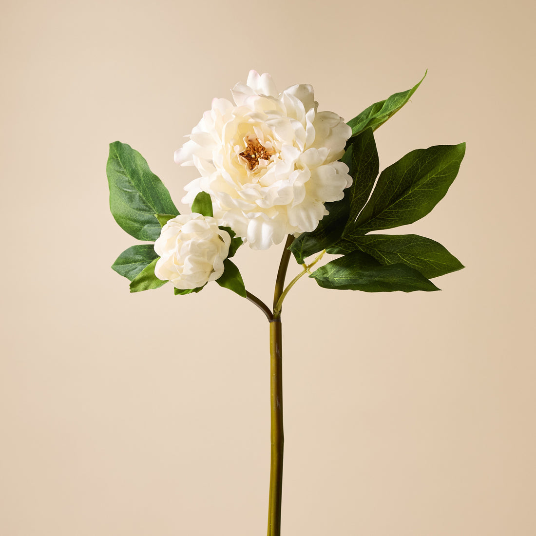 Faux Peony Bud Stem | Cream - 56cm