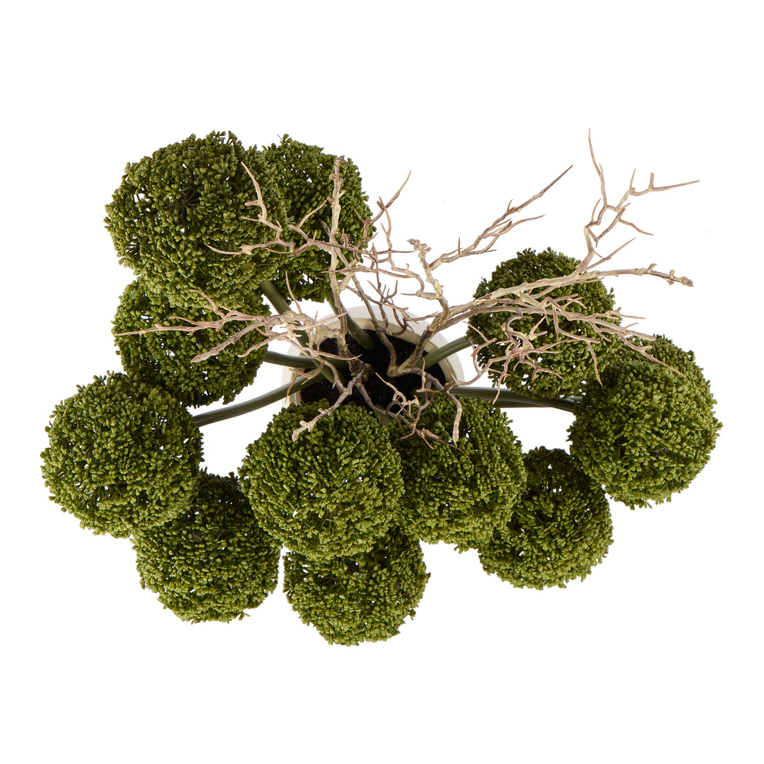 Faux Allium Spray Arrangement - Maliah Pot Cream | Green - 65cm
