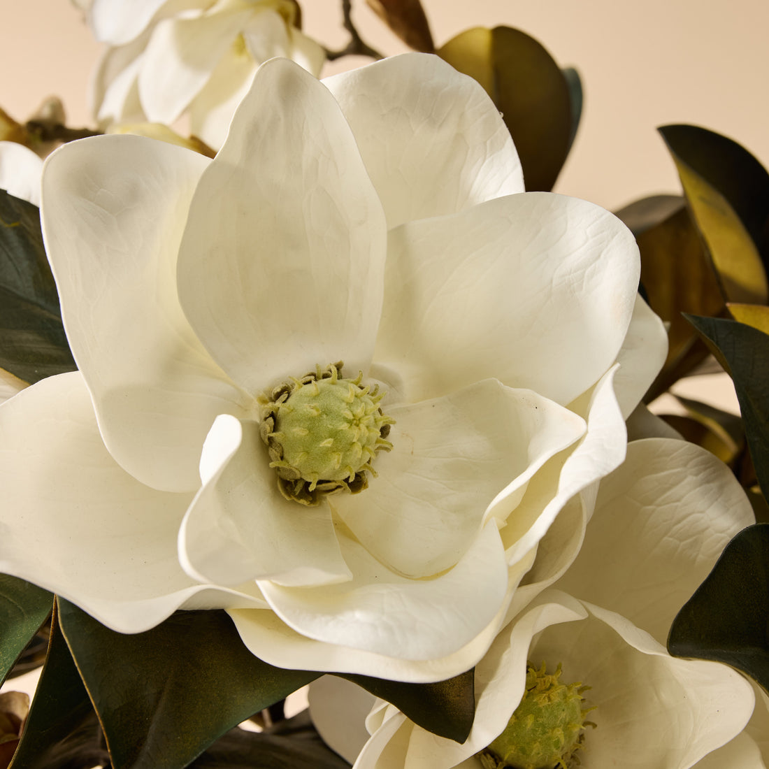 Faux Magnolia Grandiflora Arrangement - Claire Vase