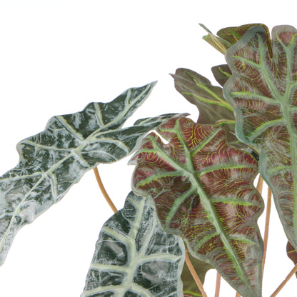 Faux Alocasia - Garden Pot | 43cm