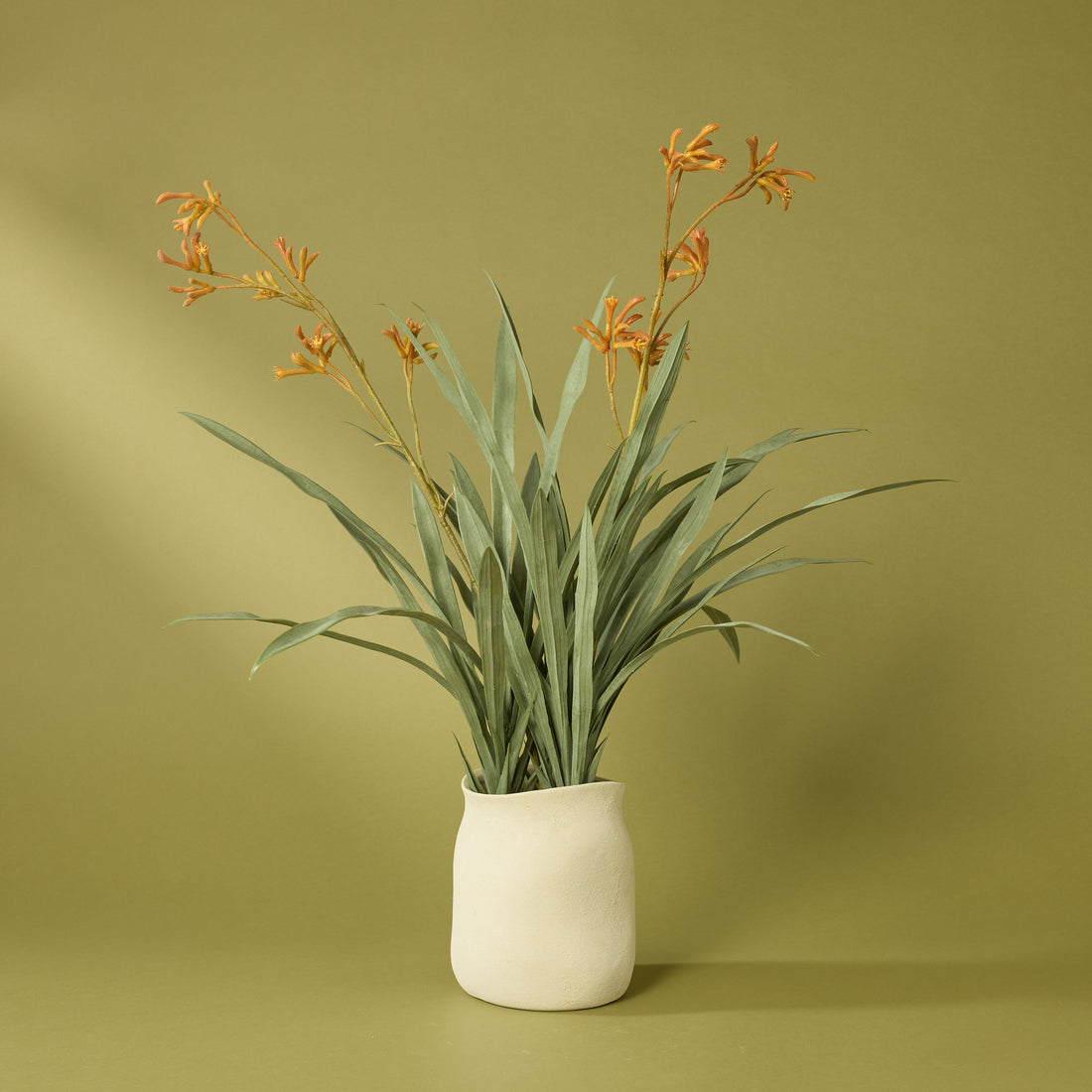 Faux Kangaroo Paw - Maliah Pot | Cream - 72cm