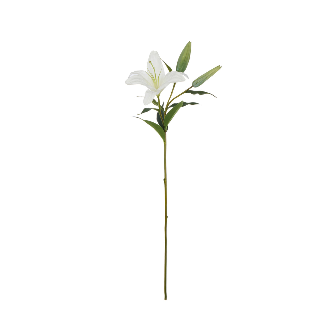 Faux Casablanca Lily | White - 80cm