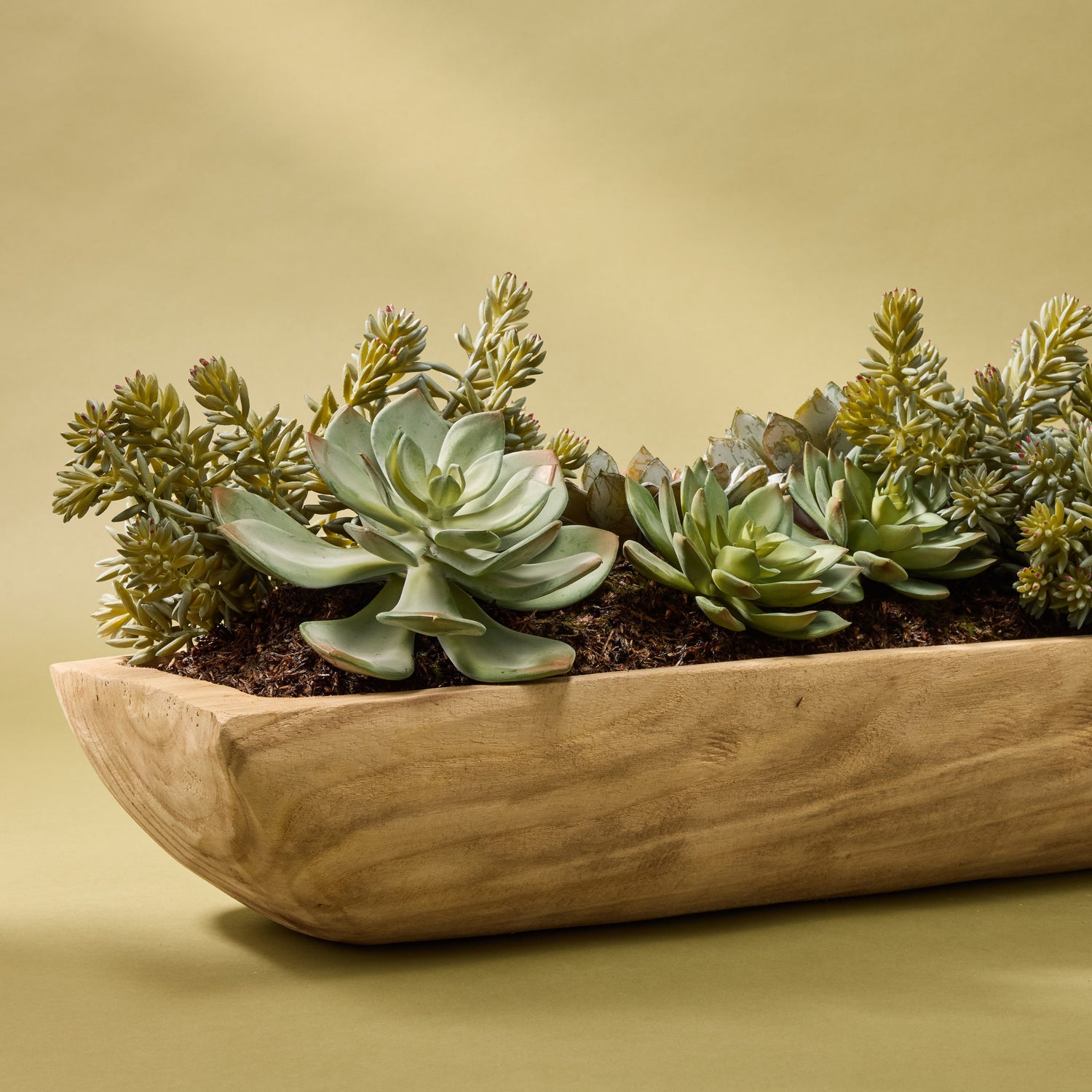 succulent tray centerpiece Artificial Echeveria Succulent Garden Arrangement - Dansk Tray
