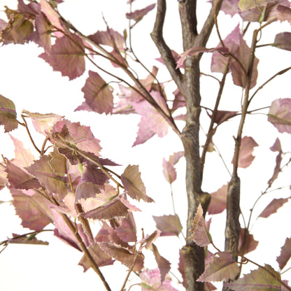 Rogue Birch Tree Purple
