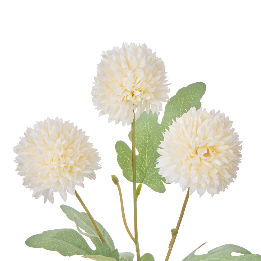 Faux Kiku-Milk Bottle | Ivory -  34cm