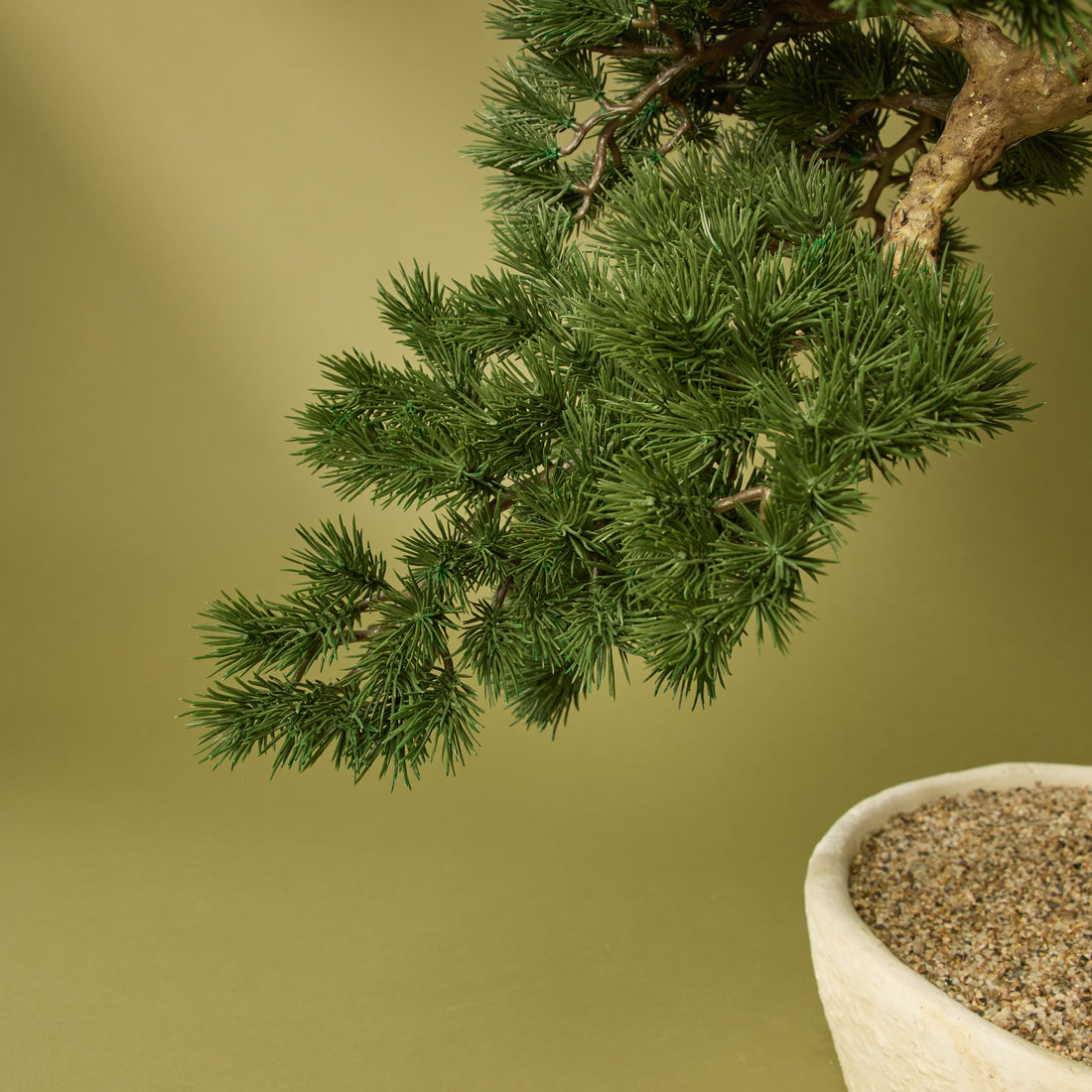 Faux Pine Bonsai - Textured Cement Pot | Cream - 96cm