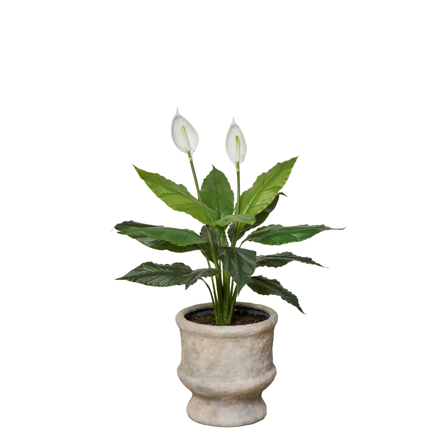 Faux Peace Lily - Lille Planter | Green - 91cm