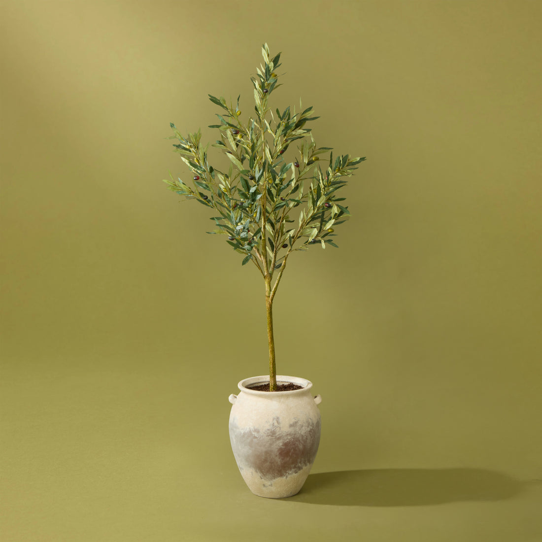 Faux Olive Tree - Inga Vase | Green - 166cm