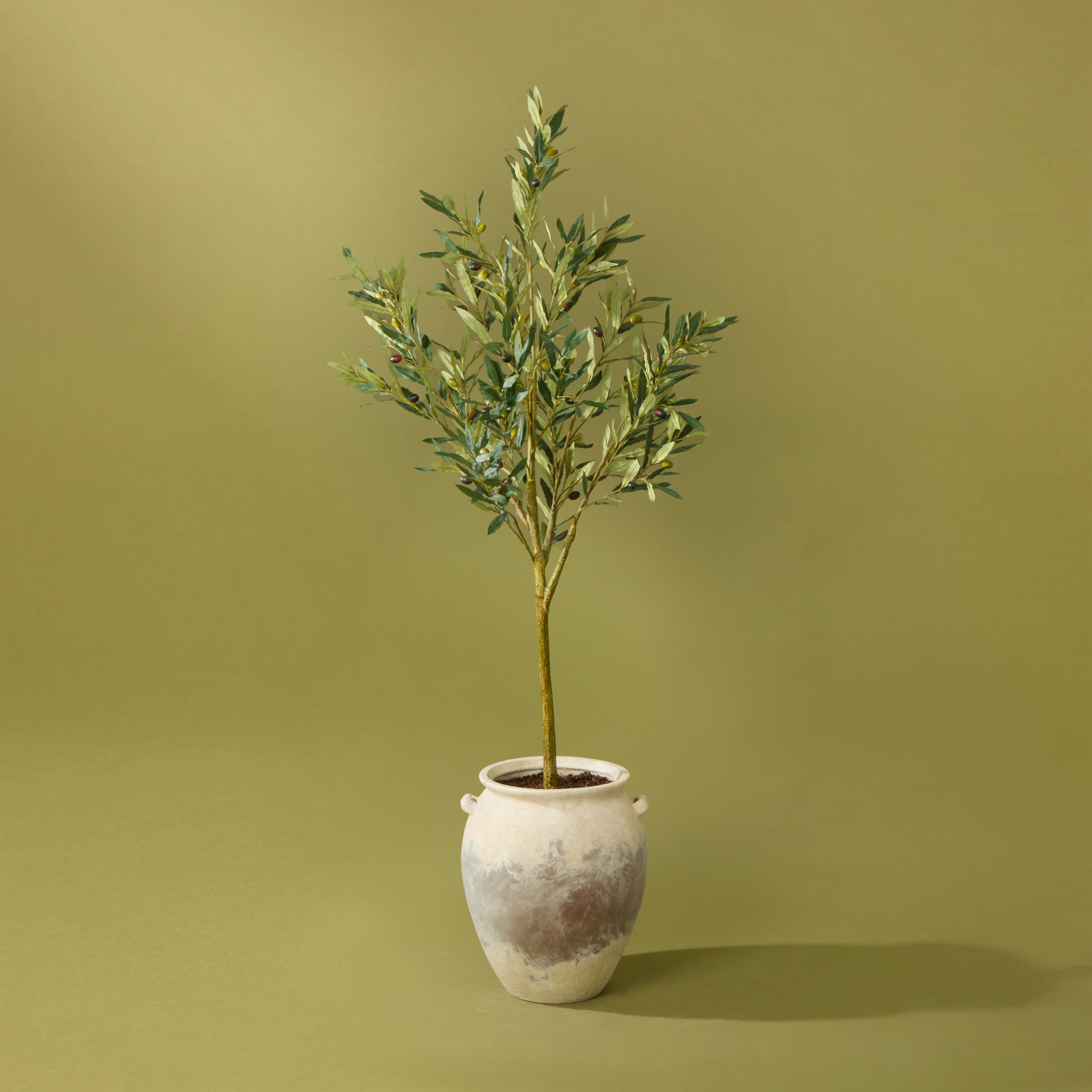 Faux Olive Tree - Inga Vase | Green - 166cm