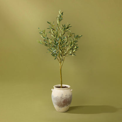 Faux Olive Tree - Inga Vase | Green - 166cm