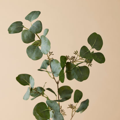 Rogue Eucalyptus Seeded Spray Green