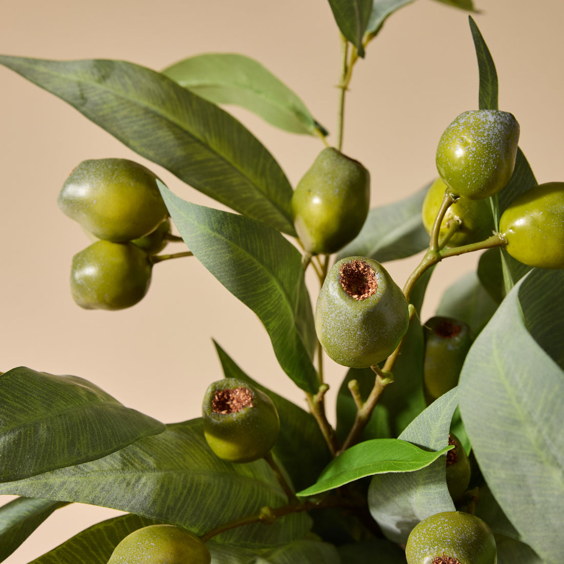 Faux Gum Nut Eucalyptus Arrangement - Pail Vase