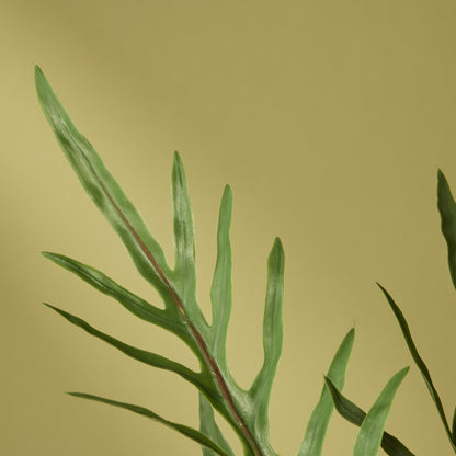 Faux Blue Star Fern Pot | Green - 81cm