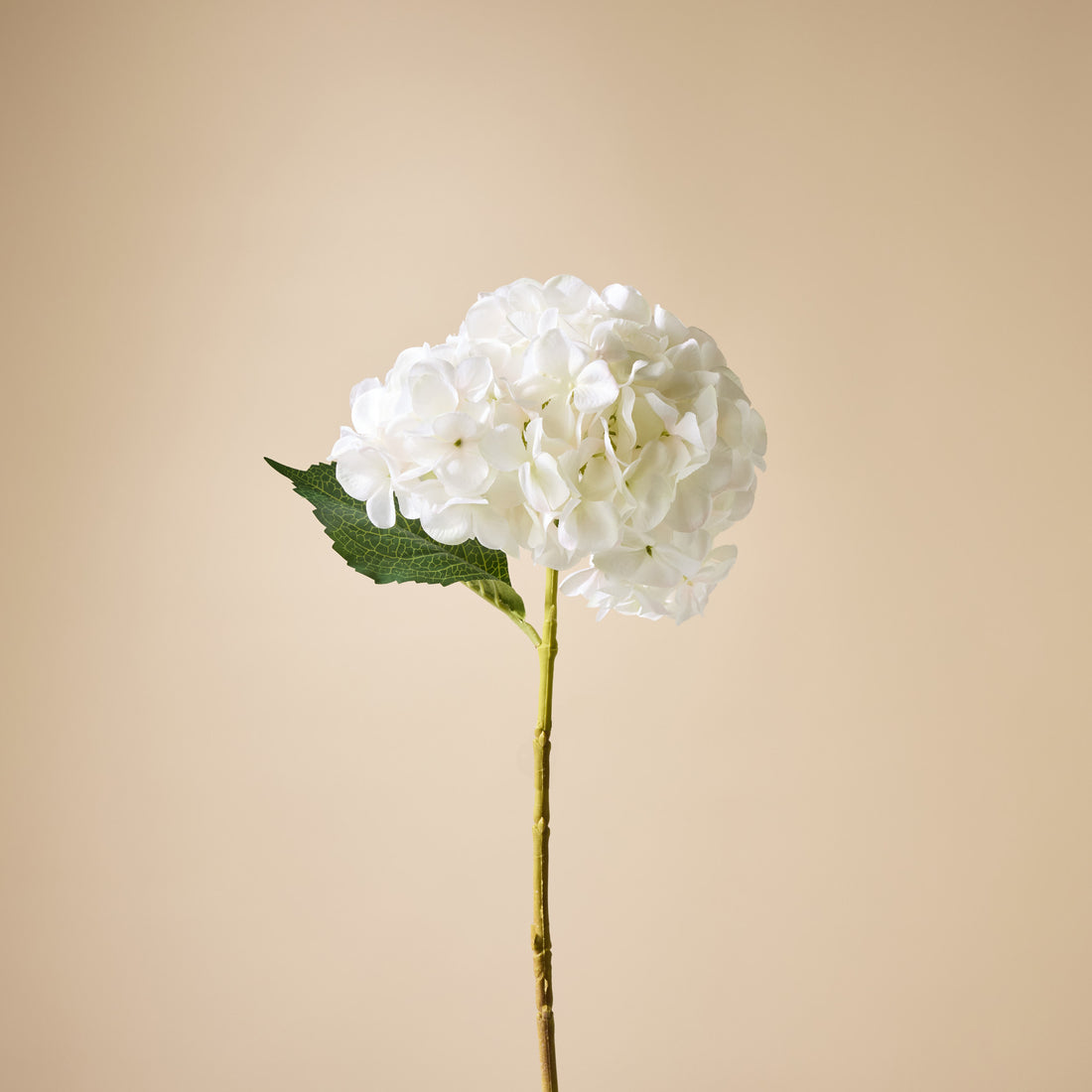 Faux Hydrangea Stem | White - 65cm