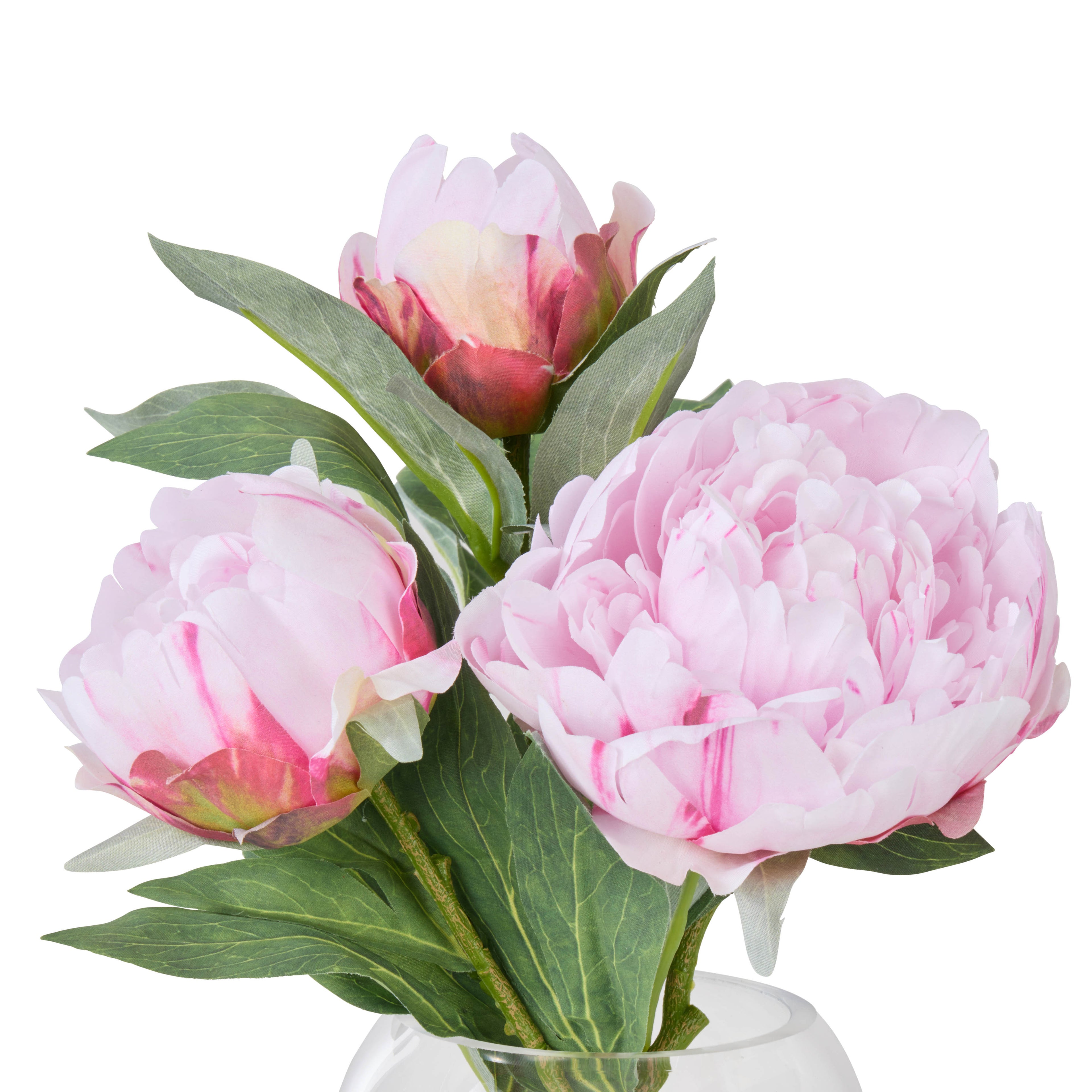 Rogue Peony Stem - Sphere Vase Pink