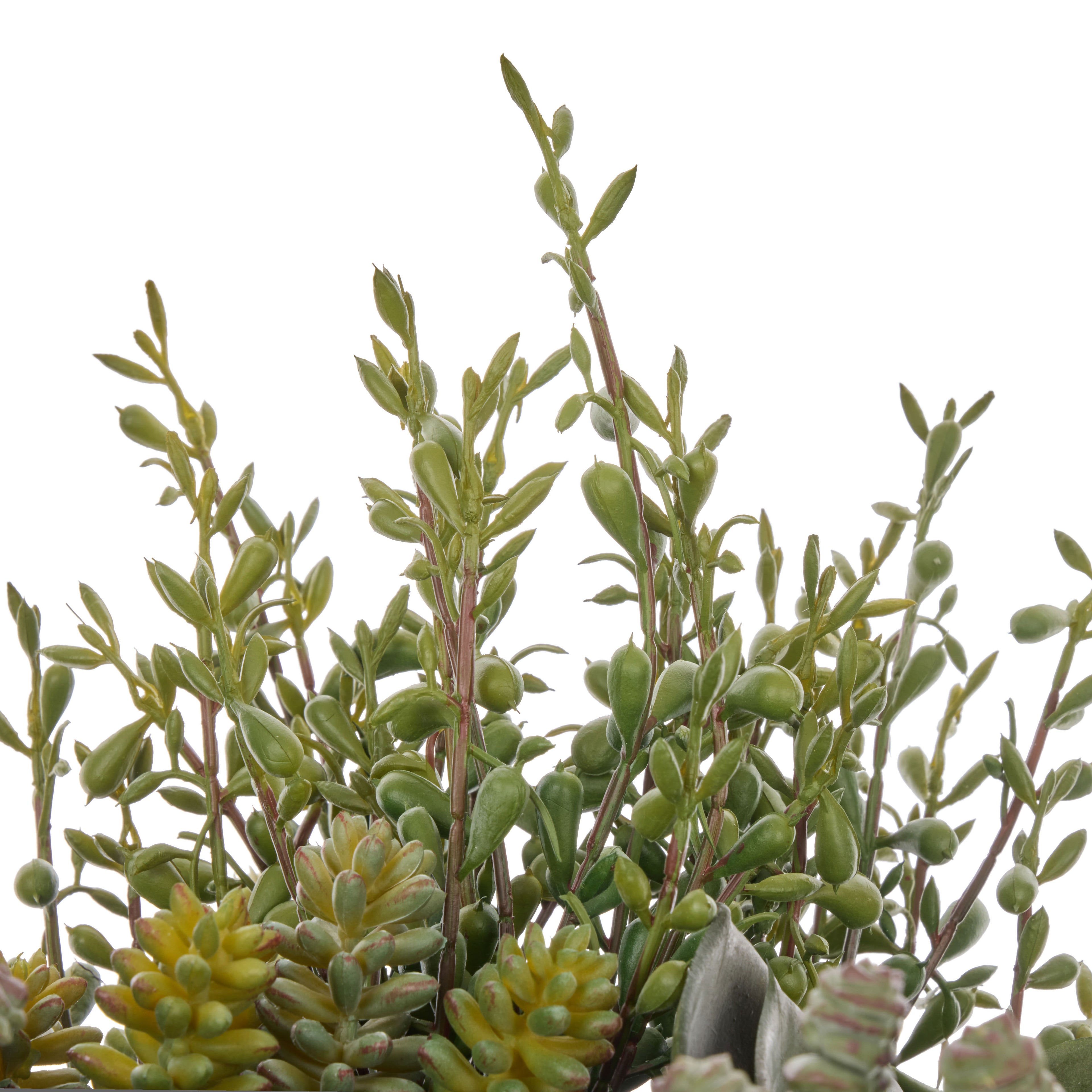 Faux Jelly Bean Sedum Mix - Dansk Bowl | Green -  37cm