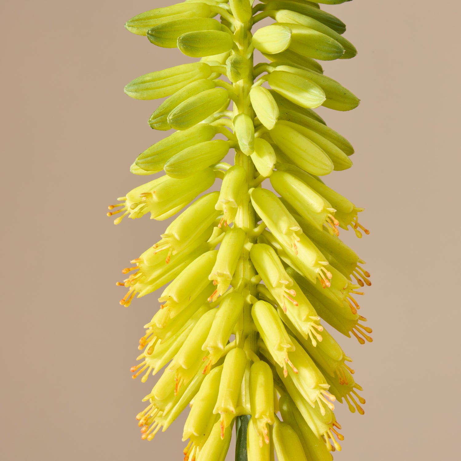 Faux Torch Lily Stem | Yellow - 87cm
