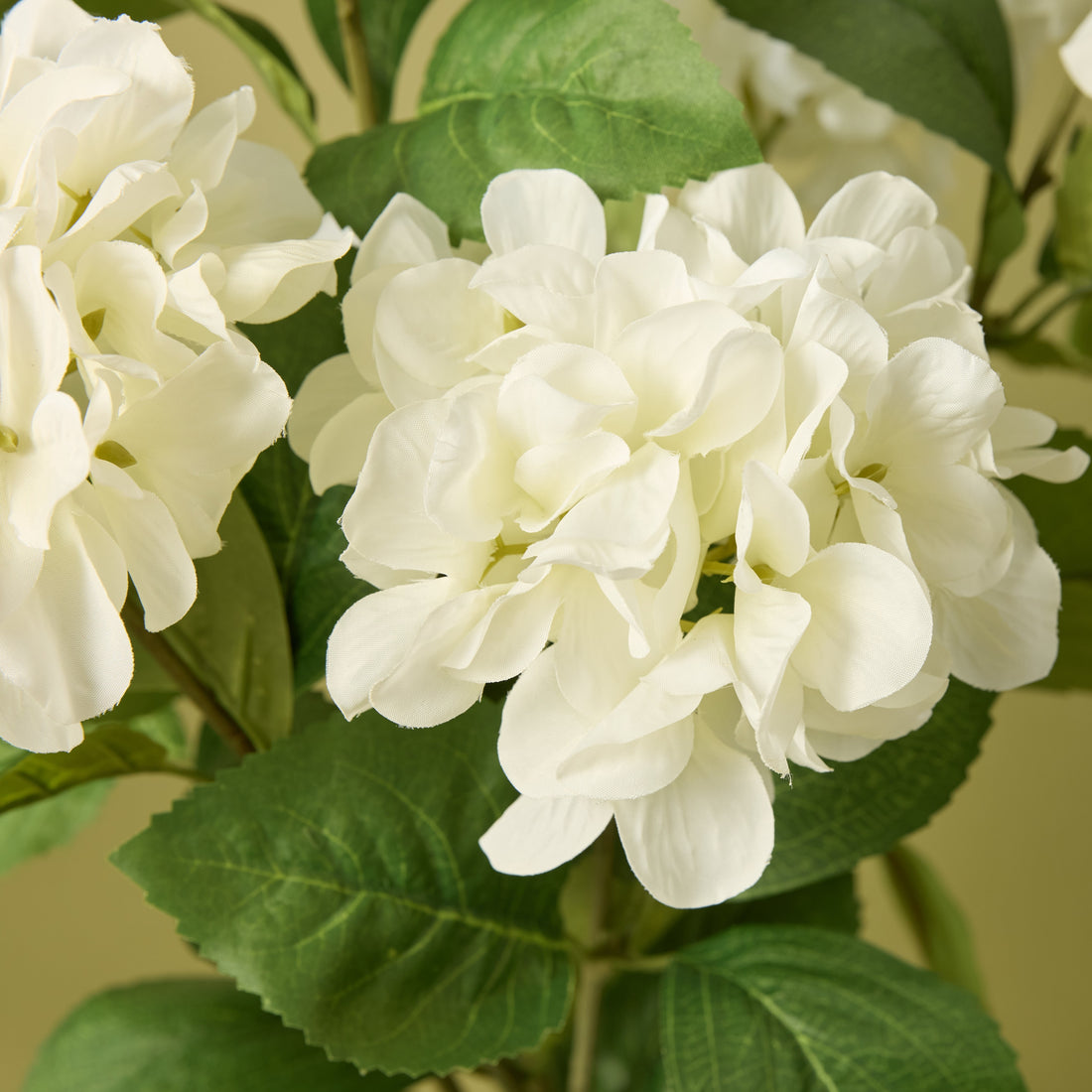 Faux Hydrangea Plan | Chinon Pot With Saucer | Three Birds Set