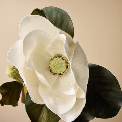 Faux Magnolia Grandiflora Stem | White - 66cm