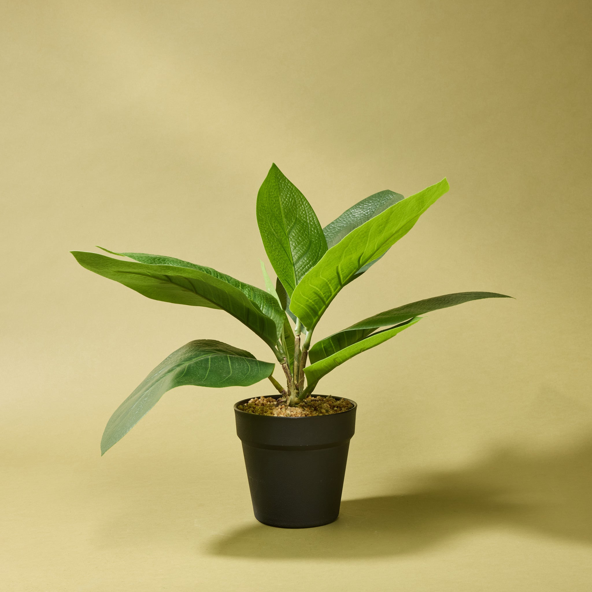 Faux Lush Leaf Plant - Garden Pot | 45cm