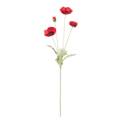 Rogue Poppy Spray Red