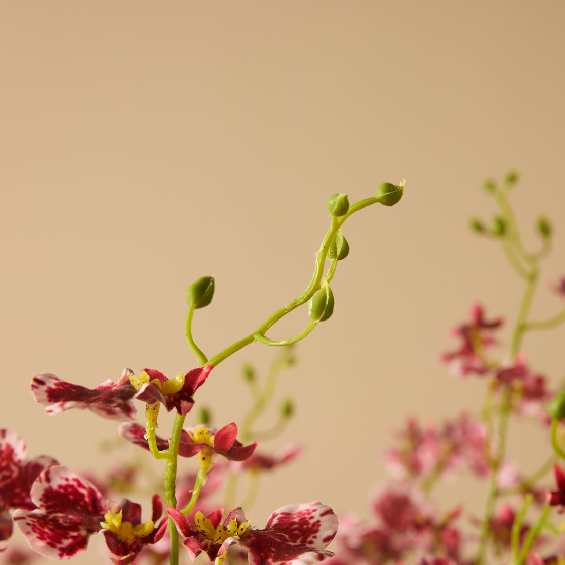 Faux Dancing Orchids - Madelyn Bowl | Burgundy - 67cm
