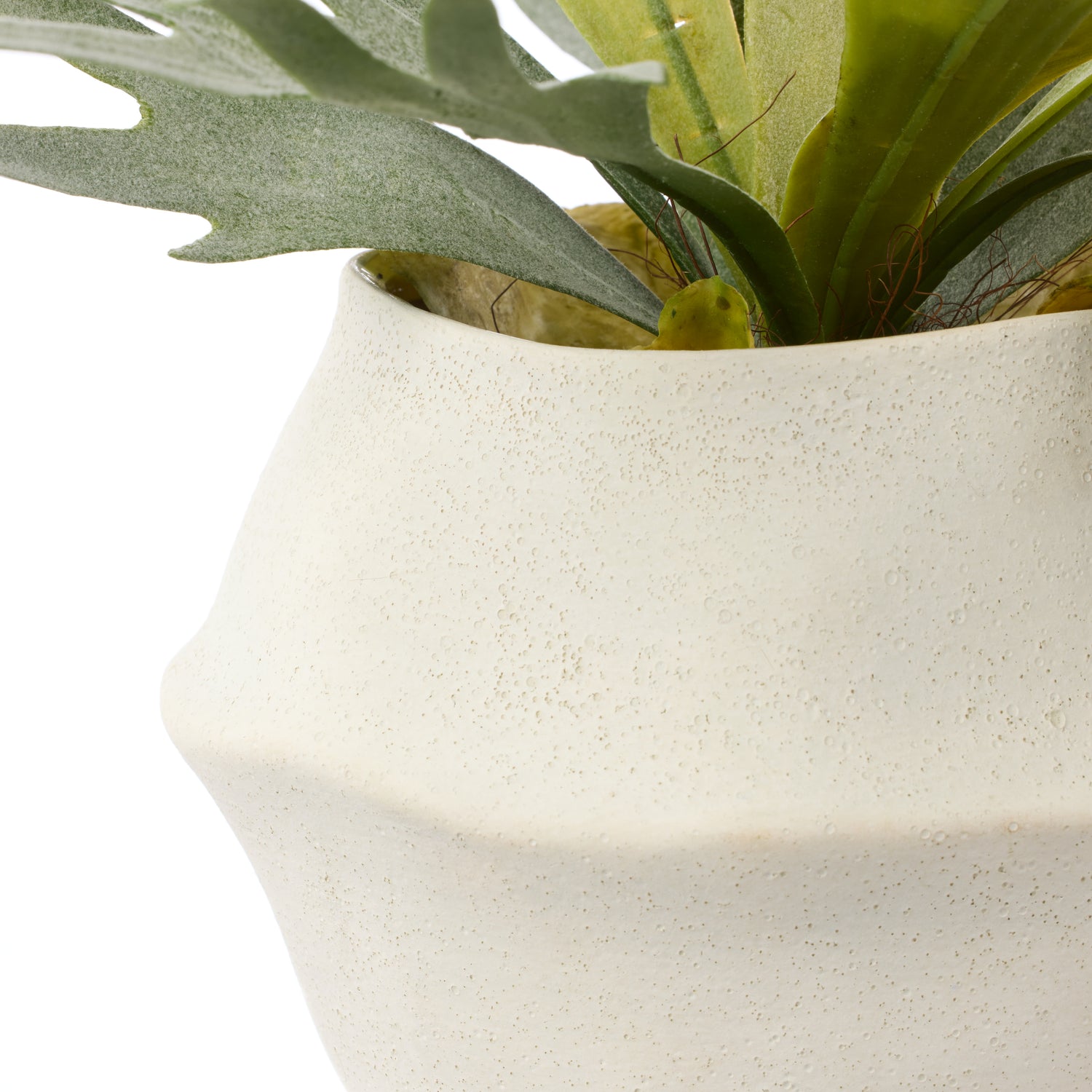Faux Staghorn Fern - Maliah Wide Pot | Cream - 27cm