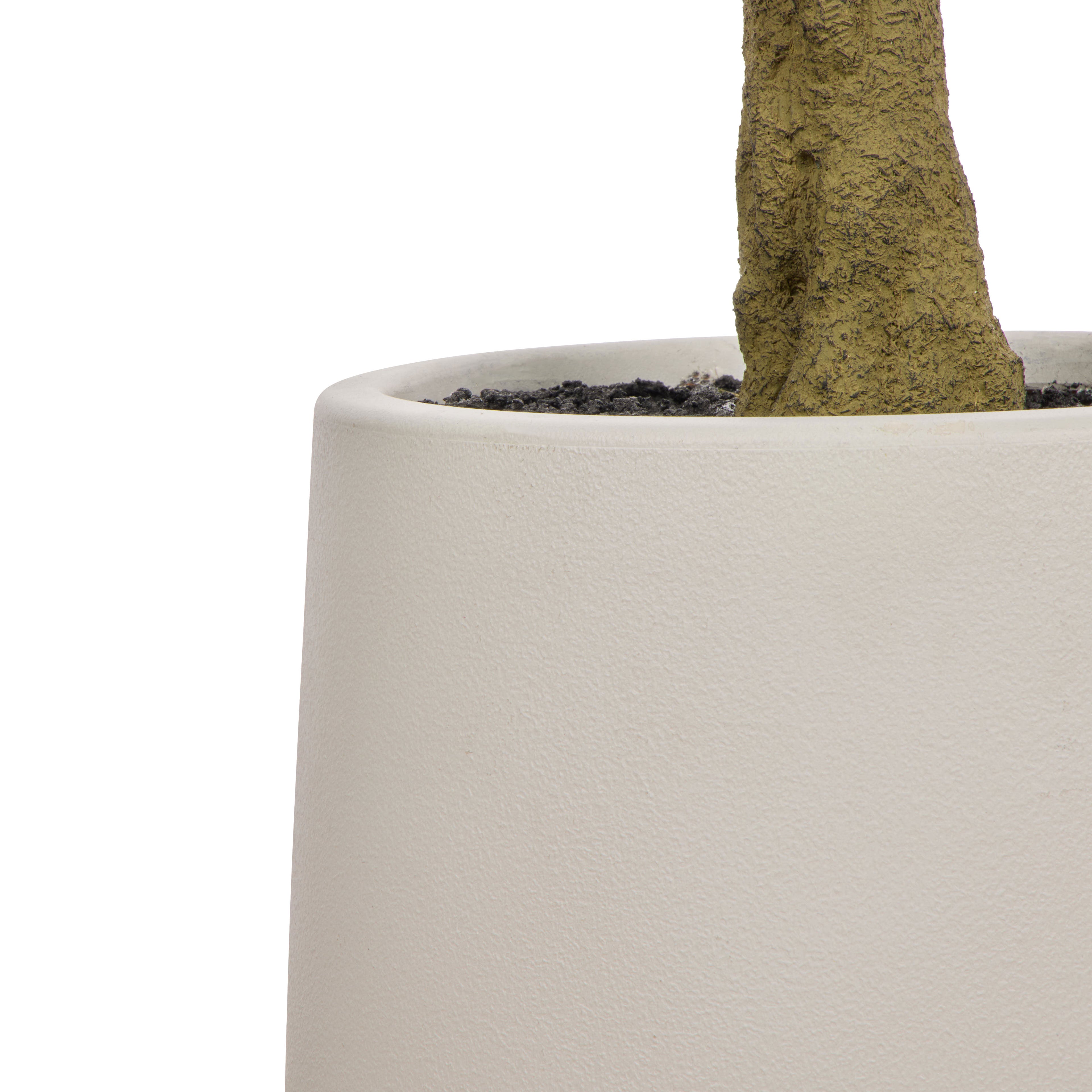 Faux Ficus Tree - White Pot | Green -  180cm